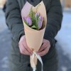 5 лиловых тюльпанов