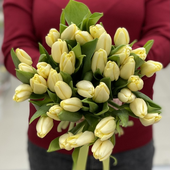 Тюльпан кремовый (Fun for Two)