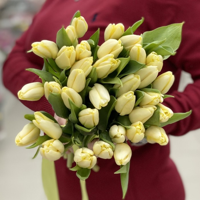 Тюльпан кремовый (Fun for Two)