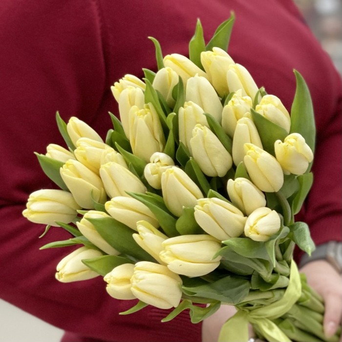 Тюльпан кремовый (Fun for Two)