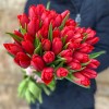 Тюльпан красный (Red life)