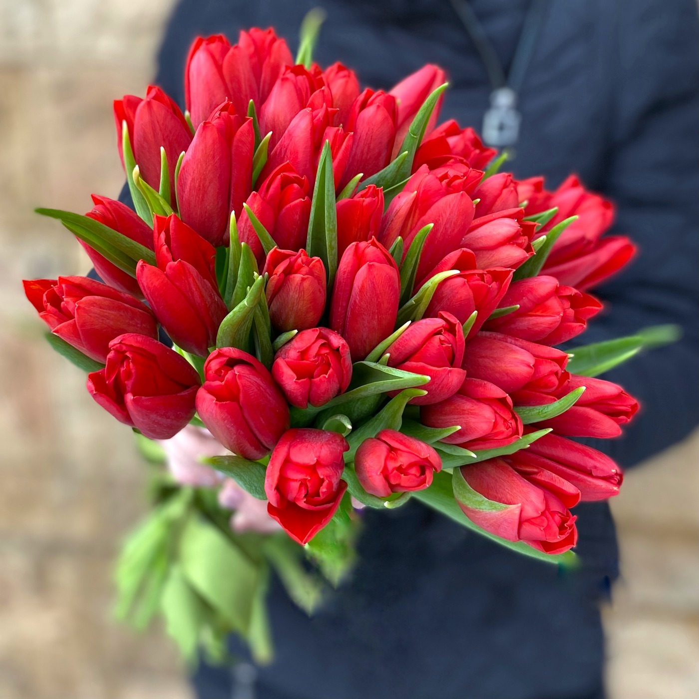 Тюльпан купить в москве с доставкой цветы с доставкой краснодар 101 роза