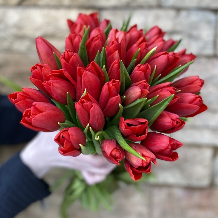 Тюльпан красный (Red life)