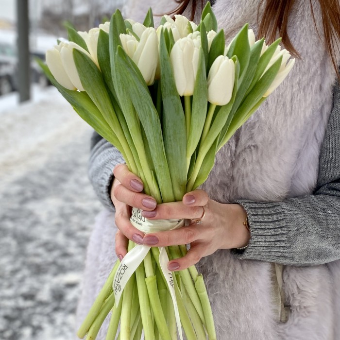 Тюльпан Белый (Antarctica. Tibet)