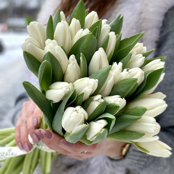 Тюльпан Белый (Antarctica. Tibet)