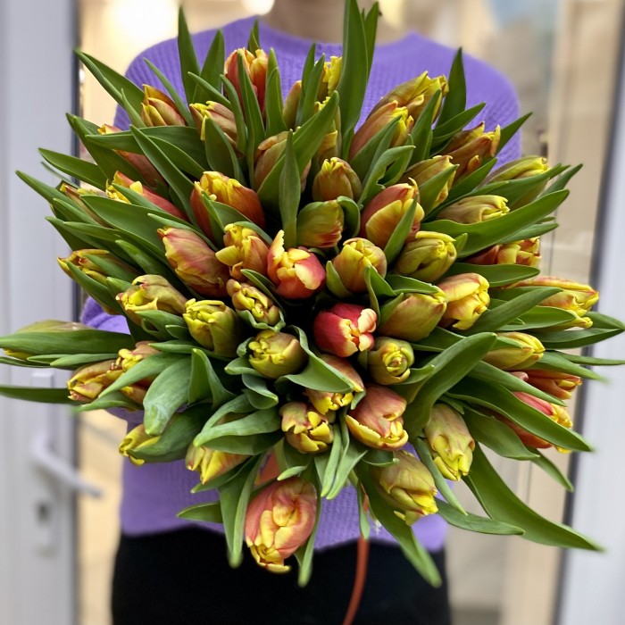 Тюльпан красно-желтый (DJ parrot) оптом