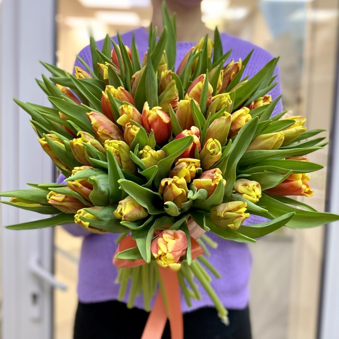 Тюльпан красно-желтый (DJ parrot) оптом