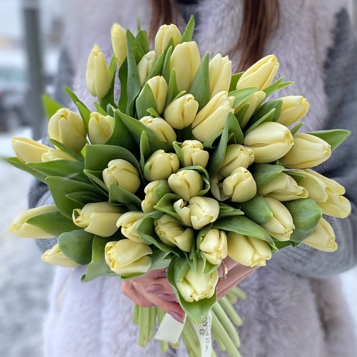 Тюльпан кремовый (Fun for two)