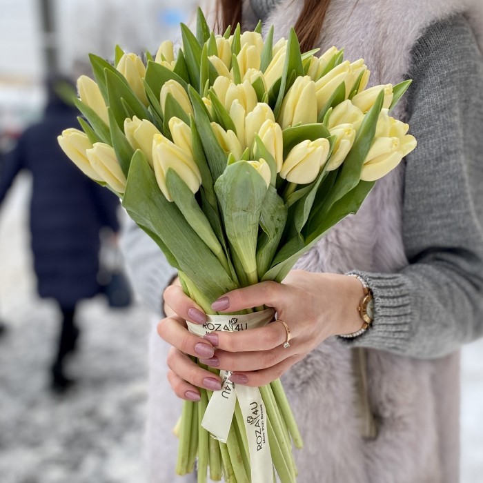 Тюльпан кремовый (Fun for two)