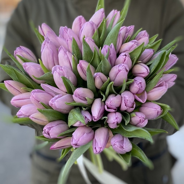 Тюльпан лиловый (sugar prince) оптом
