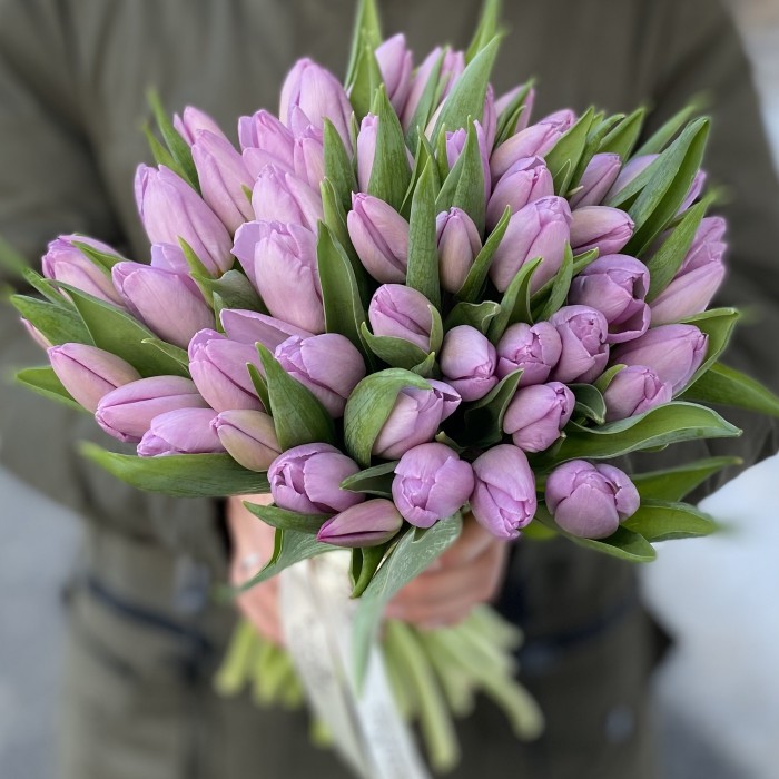 Тюльпан лиловый (sugar prince) оптом