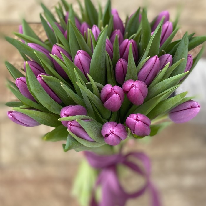 Тюльпан фиолетовый (Laptop)