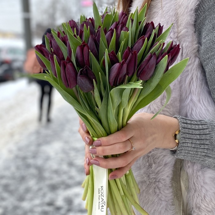 Тюльпан темно-фиолетовый