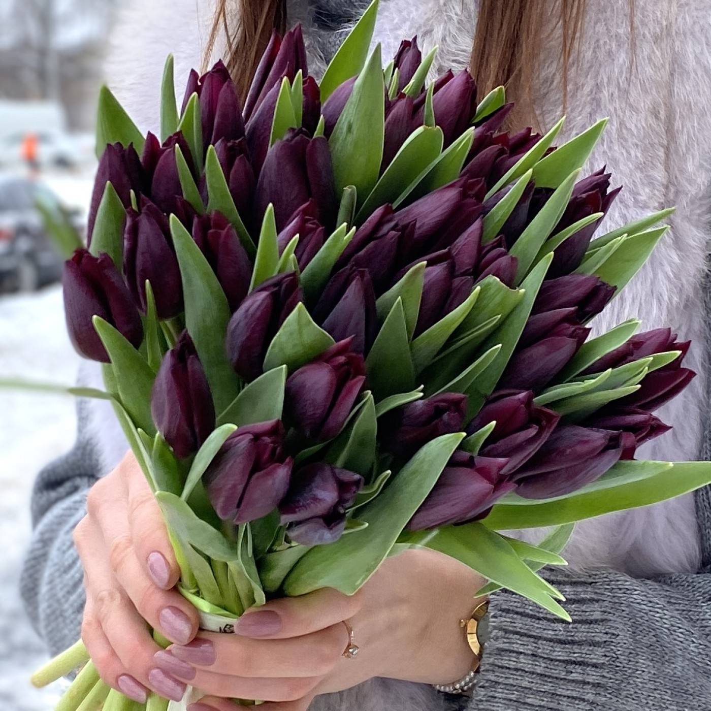 Тюльпан темно-фиолетовый | купить недорого тюльпаны в розницу | доставка по  Москве и области