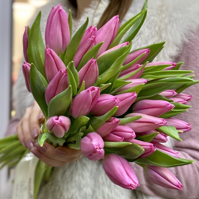 Тюльпан темно-розовый (Barcelona)