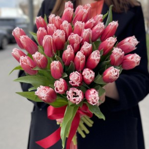 Тюльпан красно-белый махровый New santa