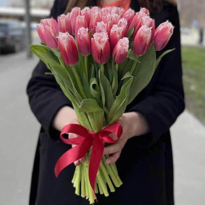 Тюльпан красно-белый махровый New santa