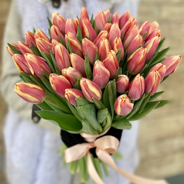 Тюльпан Бустер