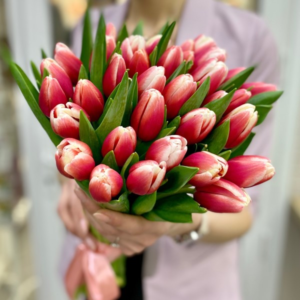 Тюльпан красно-белый (Dutch design)