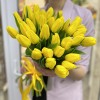 Тюльпан желтый (Strong gold)
