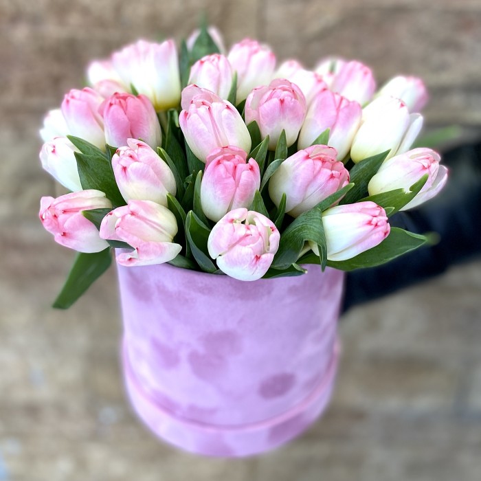 Бело-розовые тюльпаны в бархатной коробке