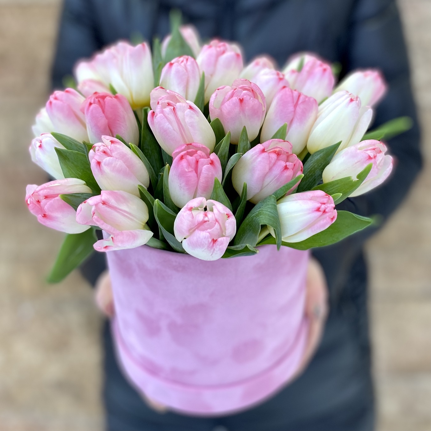 Букет бело-розовых тюльпанов в бархатной коробке на День Восьмого Марта