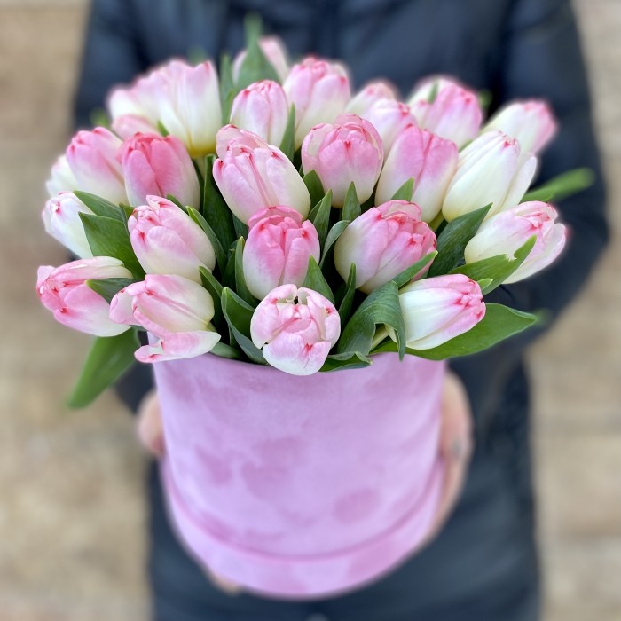 Бело-розовые тюльпаны в бархатной коробке