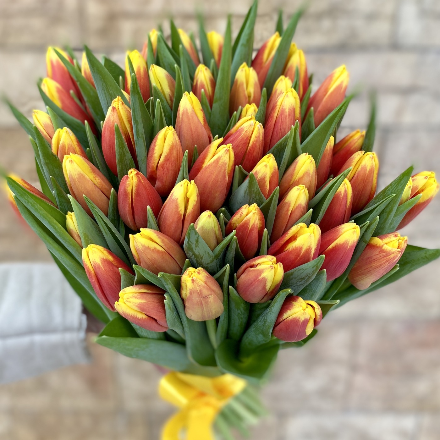 Как выбрать красно-желтый тюльпан в интернет-магазине: фотографии сортов