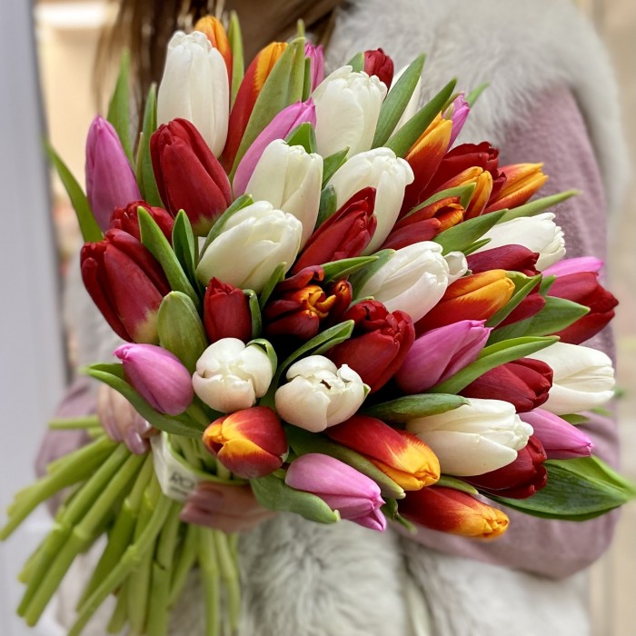 Тюльпаны микс