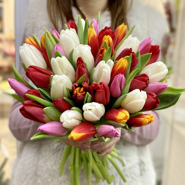 Тюльпаны микс