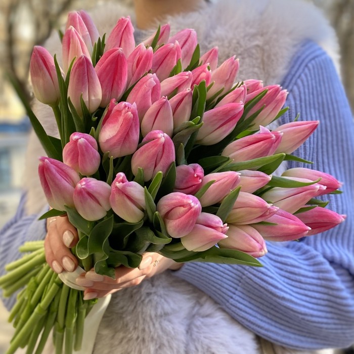 Тюльпан нежно розовый (First class) оптом