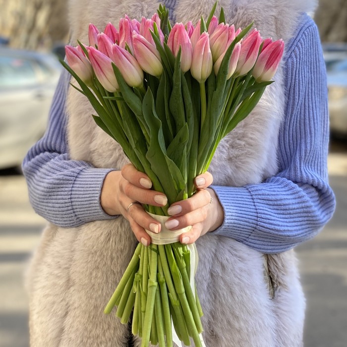 Тюльпан нежно розовый (First class) оптом