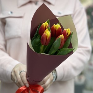 5 красно-желтых тюльпана Денмарк