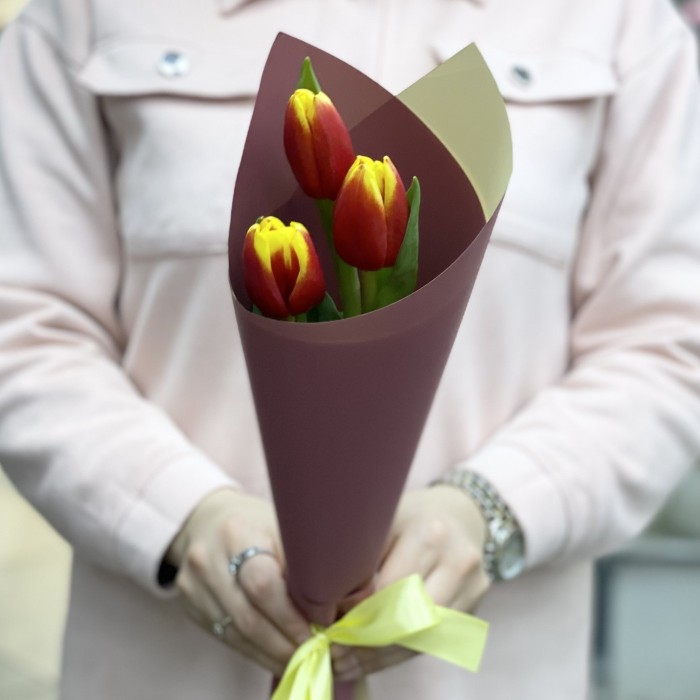 3 красно-желтых тюльпана Денмарк