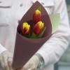 3 красно-желтых тюльпана Денмарк