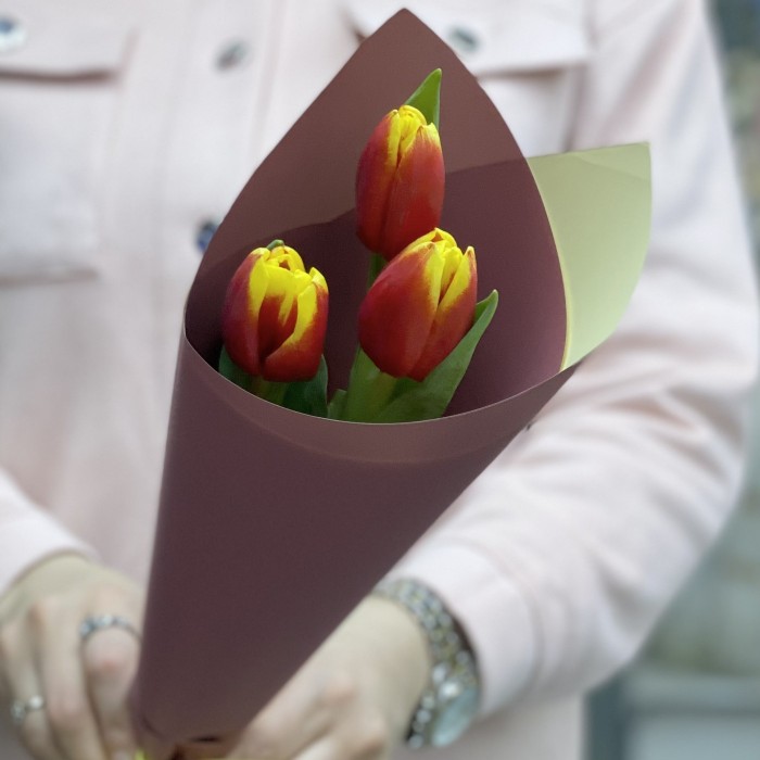 3 красно-желтых тюльпана Денмарк