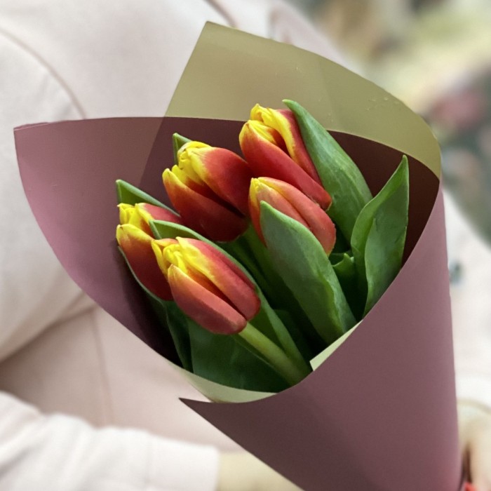5 красно-желтых тюльпана Денмарк