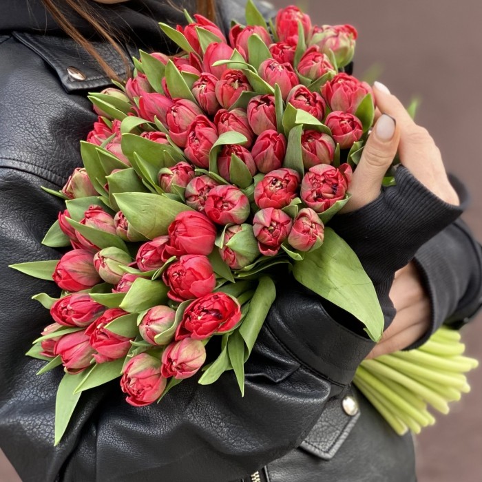 Тюльпаны пионовидные красные