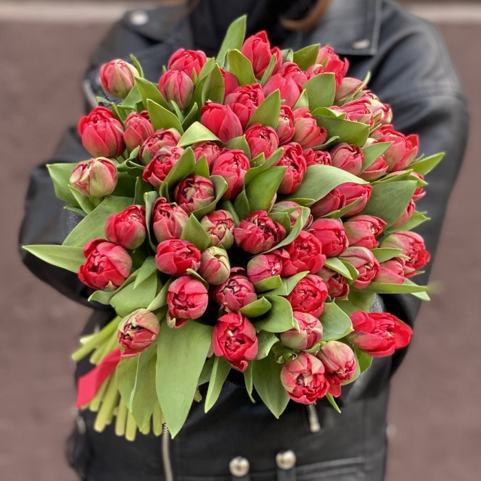 Тюльпаны пионовидные красные