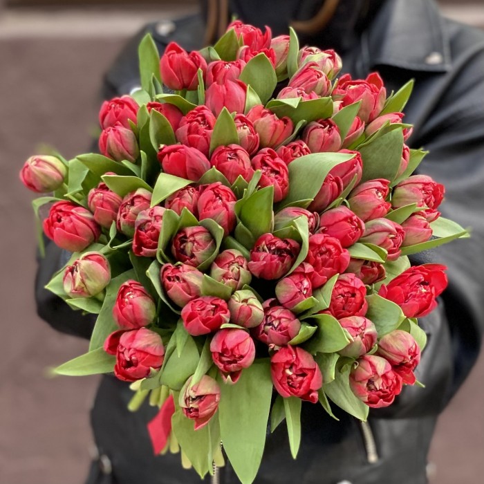 Тюльпаны пионовидные красные