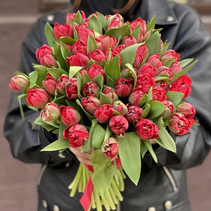 Тюльпаны пионовидные красные