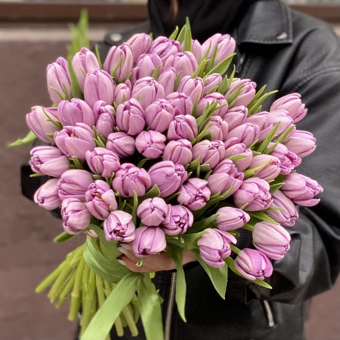 Тюльпаны пионовидные лиловые