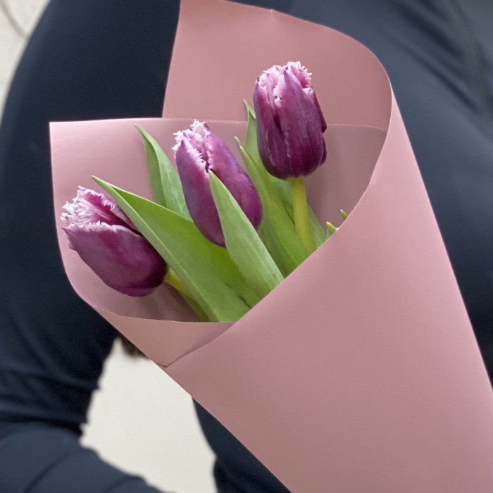 3 махровых тюльпана Сан Мартин