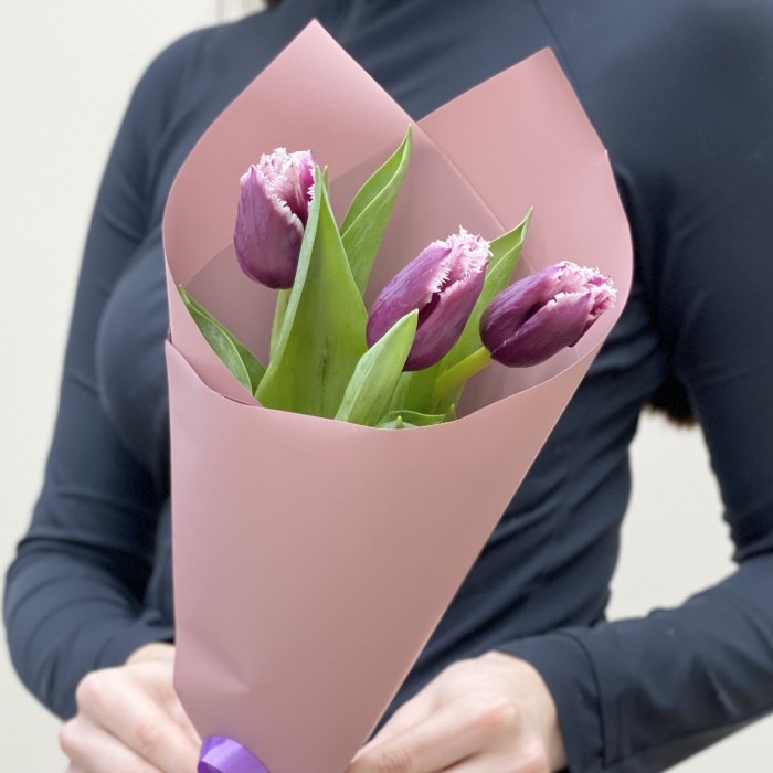 3 махровых тюльпана Сан Мартин