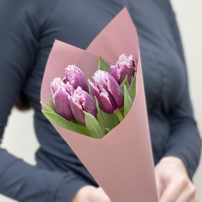 5 махровых тюльпанов Сан мартин