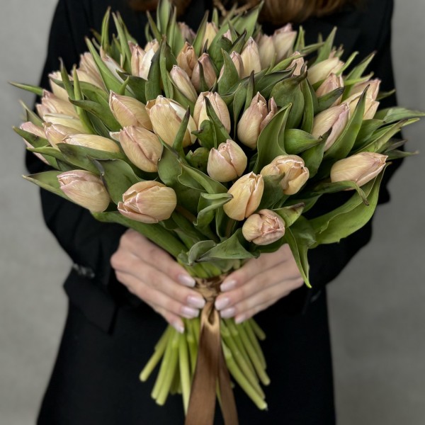 Тюльпан Мокко