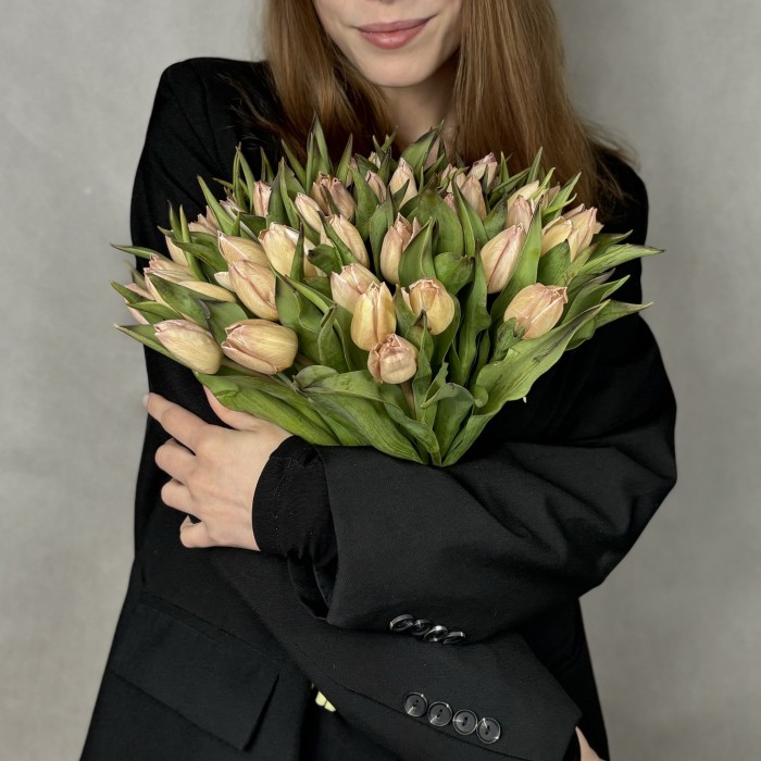 Тюльпан Мокко