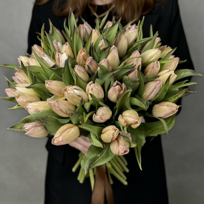 Тюльпан Мокко