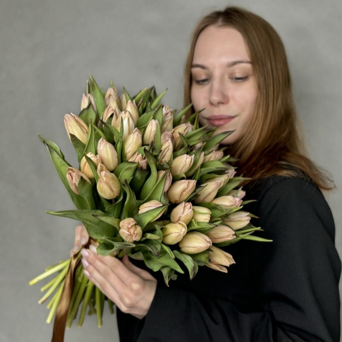 Тюльпан Мокко