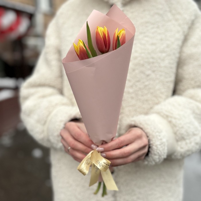 3 красно-желтых тюльпана Денмарк